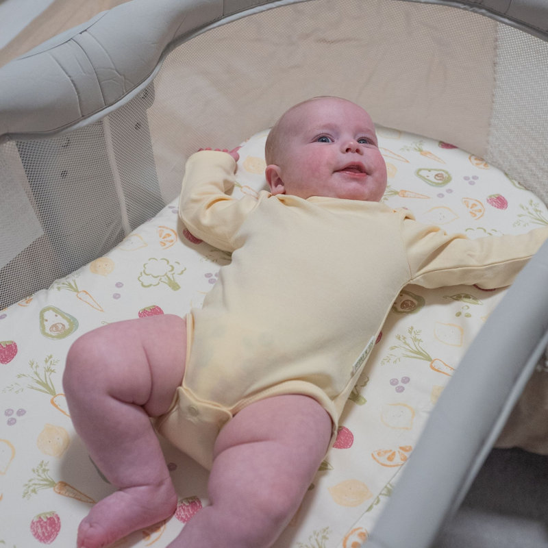 Clementine Fruits & Veggies Cotton Bassinet Sheet