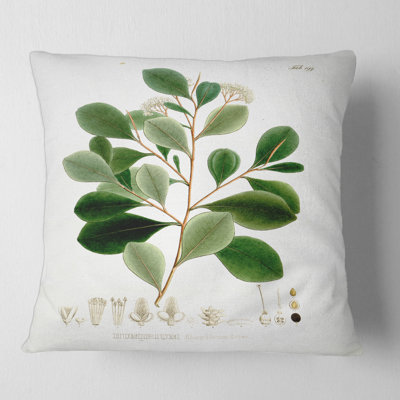 Vintage Botanicals IV - Traditional Printed Pillow