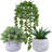 3 Pcs Assorted Small Potted Succulent Plants Artificial Aloe Hops String Of Pearls Succulents In Gray Geometric Concrete Pots