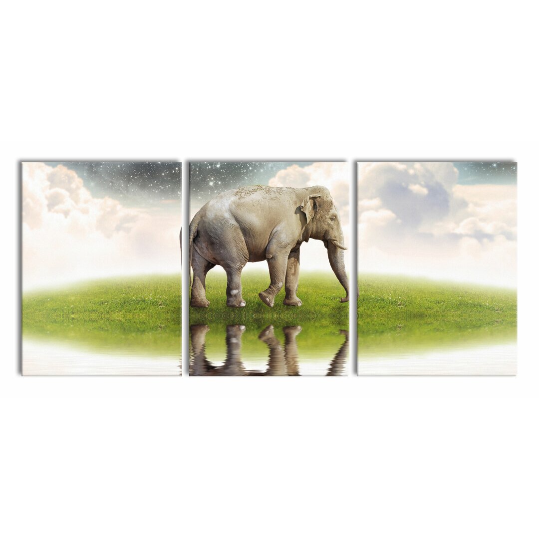 3-tlg. Leinwandbilder-Set Starry Sky and Elephant