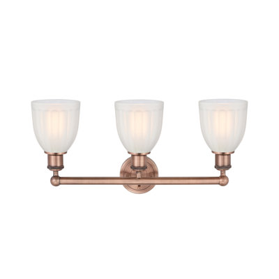 Éclairage pour meuble-lavabo de salle de bain 3 lumières 23,75 pouces Radegonde