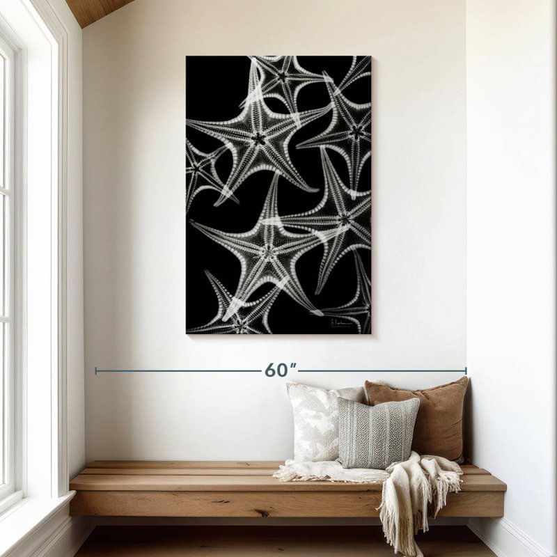 Brampt White Starfish, 45" H x 30" W
