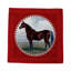 Square Napkins-417523901
