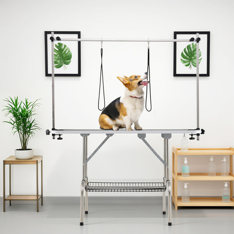 Table de toilettage réglable pour animaux avec structure en métal robuste en forme de H