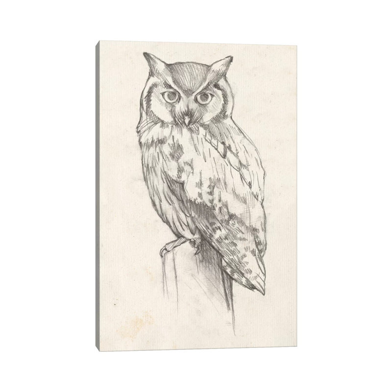 Owl Portrait II by Jennifer Goldberger - Wrapped Canvas Print, 30.48cm H x 20.32cm W x 1.905cm D