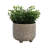 Ceramic Stoneware Planter With Raised Botanical Texture And Footed Base - Modern Decorative Garden Accent