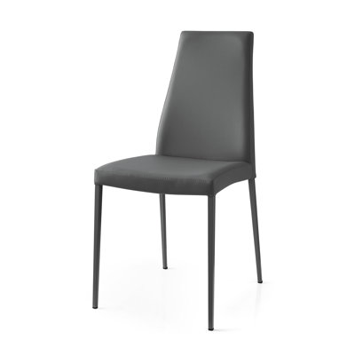 Aida Upholstered Ergonomic Chair with Metal Frame