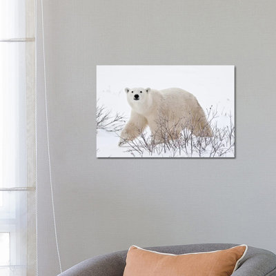 Canada, Manitoba, Churchill by Jaynes Gallery - Wrapped Canvas Print