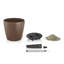 Classico Pot Planter-16493099-16493100