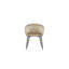 Bryton Velvet Side Chair