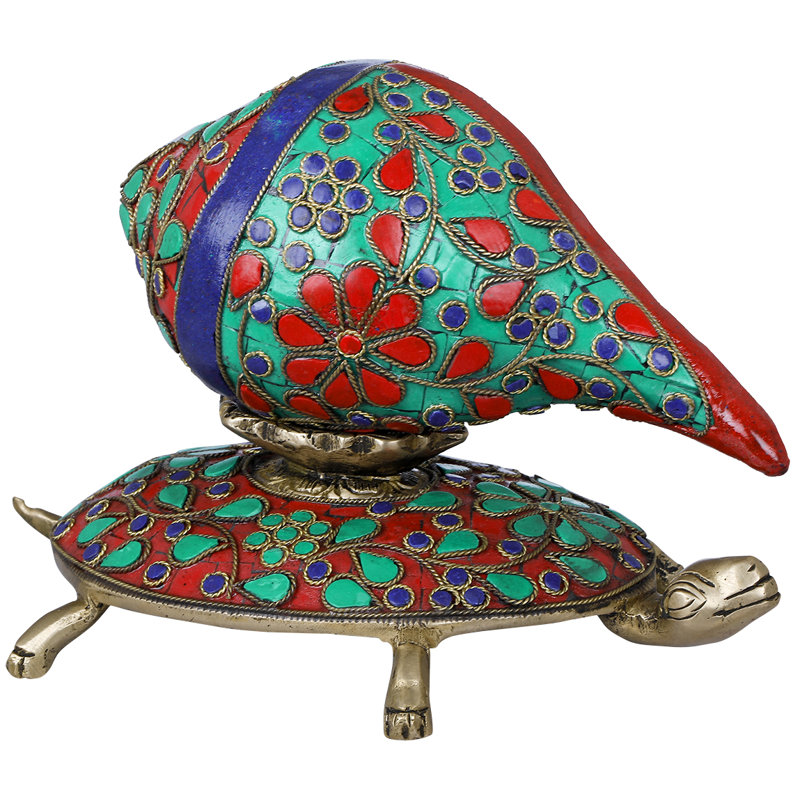 Conque Vastu sur tortue