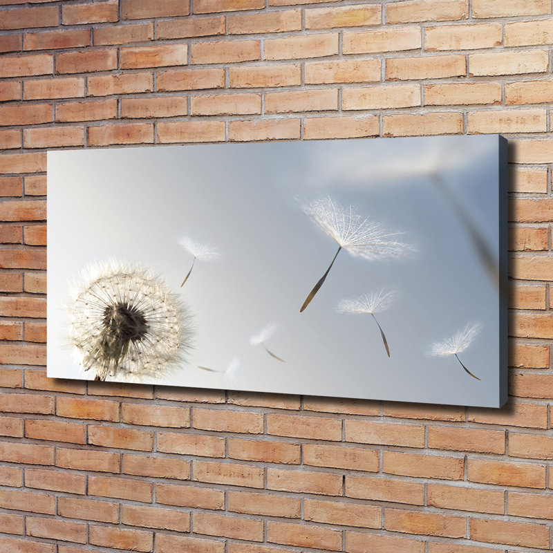 Dandelion - Wrapped Canvas Print