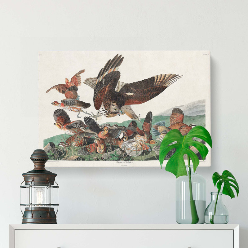 Virginia Partridges by John Audubon - Wrapped Canvas, 40cm H x 60cm W x 3cm D