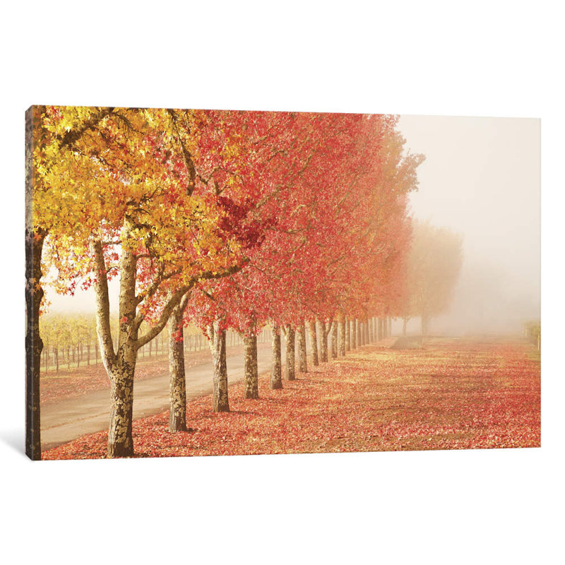 Fall Trees In The Mist by Abhi Ganju - Wrapped Canvas Print, 66.04 cm H x 45.72 cm W x 1.91 cm D