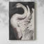 Swan Dance II -Gallery Wrarap Cavas-1663577458