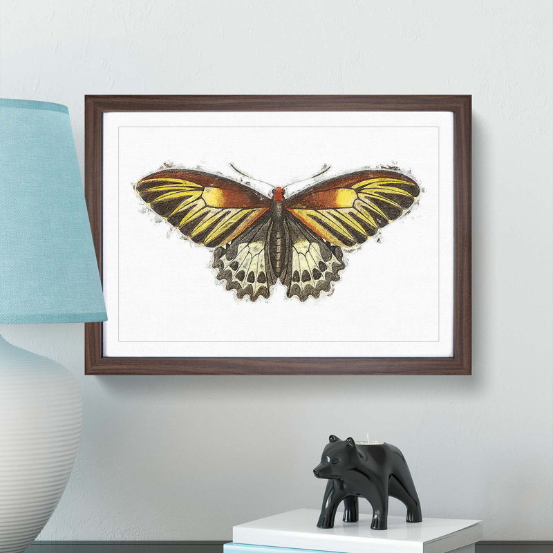 Brown Butterfly by George Shaw - Framed Print, 27cm H x 36cm W x 2cm D, Walnut Framed