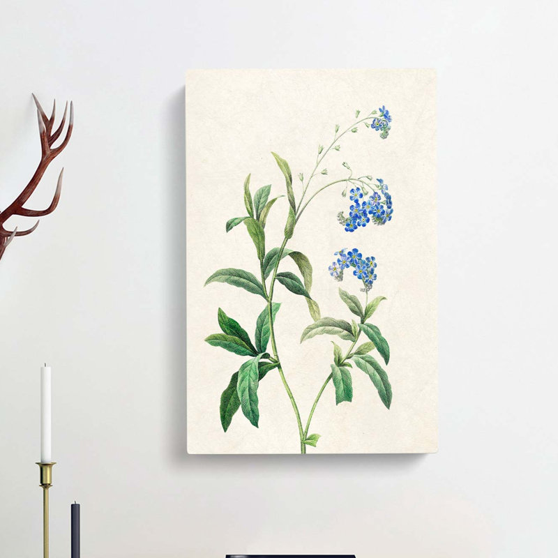 Water Forget Me Not Flowers by Pierre-Joseph Redoute - Wrapped Canvas Print, 60cm H x 40cm W x 3cm D