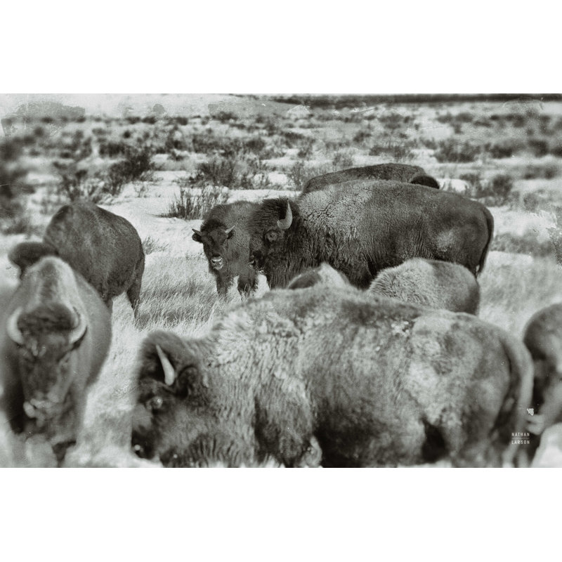 Chayten Open Range I par Nathan Larson, H 8 po x l 12 po