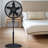 Oscillating Pedestal Fan