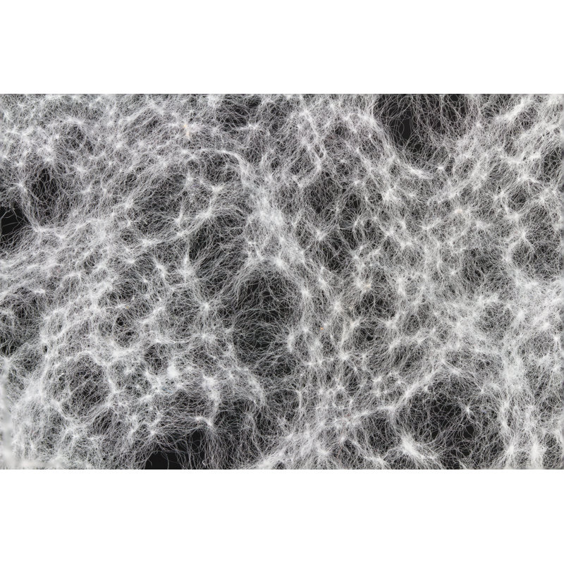 Sybilla Web - Wrapped Canvas Print, 30cm H x 46cm W x 3.8cm D