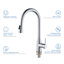 Robinet de cuisine à poignée simple avec accessoires Napa KIBI-41659815-48024390