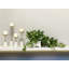 Ochoa Faux Syngonium Plant in Ceramic Vase