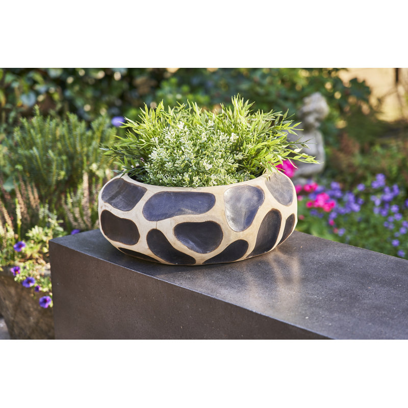 Freya Giraffe Bowl - Small, 15cm H x 40cm W x 40cm D