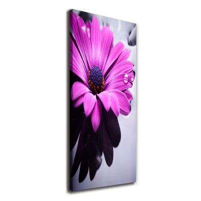 Pink Gerbera - Wrapped Canvas Print