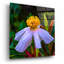 Art épique «Matilja Poppy» par Pamela Plummer, acrylique «Matilja Poppy» par Pamela Plummer-101768744