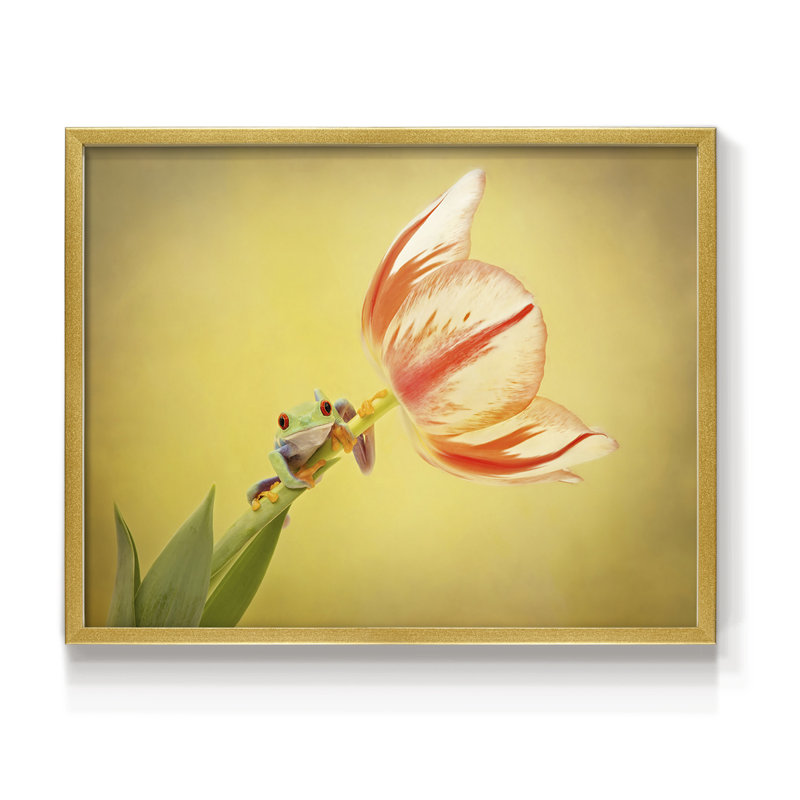 Hanging On VII -Framed Print - Restickable