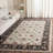 Hamon Performance Oriental Rug-31645916