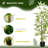 Faux Bamboo Tree in Cement Pot-1583110483