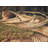 Eberhard Lake Legend Bass 3'11"x5'3" Area Rug