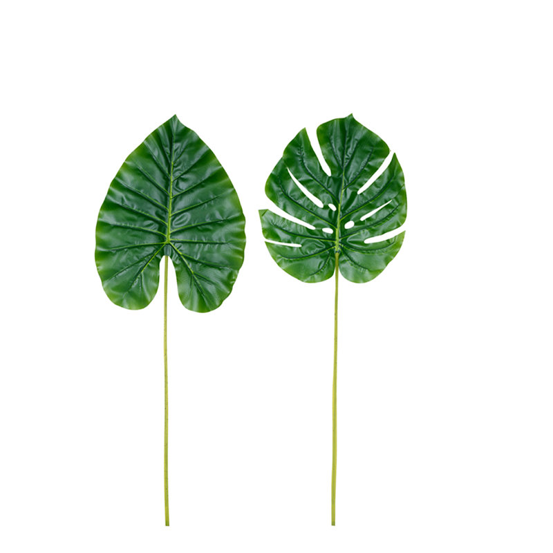 Skjalm Plant, 84cm H x 28cm W x 2cm D