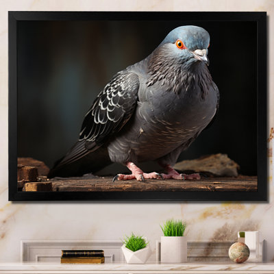" Gray Dove Portrait I "