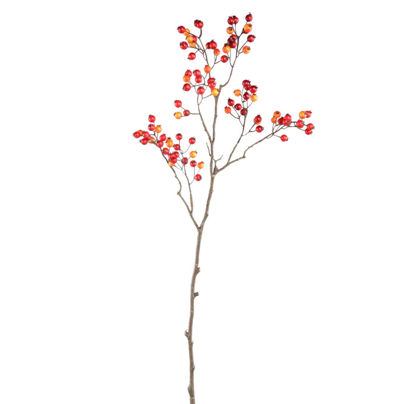 Berry 80cm Plant