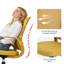 Fauteuil de bureau pivotant à hauteur réglable-1703346369-1703346372