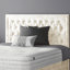Gallego Upholstered Divan Bed-2044224365-2044226511-2044226550
