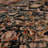Spice Market Alcantara Plush Pile Stain/Fade Resistant Polyester Woven Ornamental Indoor Area Rug-94884066