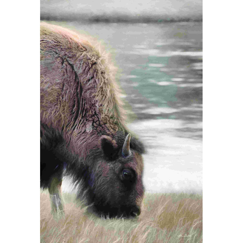 Yellowstone Buffalo 2886777, H 36 po x l 24 po, Non, Toile tendue