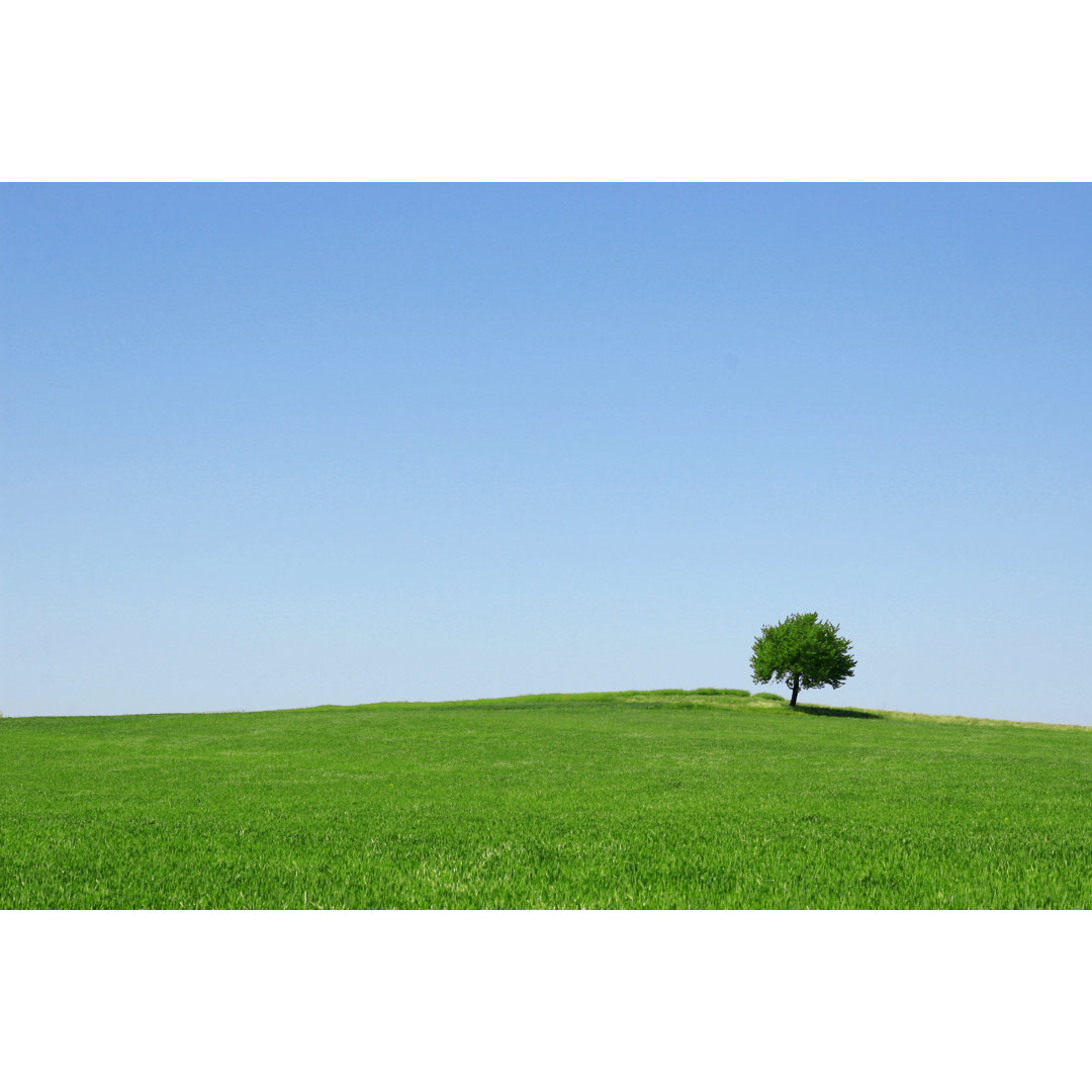 Baum auf Feld von Zoomstudio - Kunstdrucke auf Leinwand ohne Rahmen