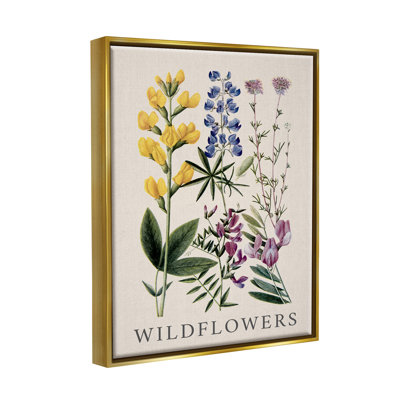 " Wildflower Species Study " by Piddix