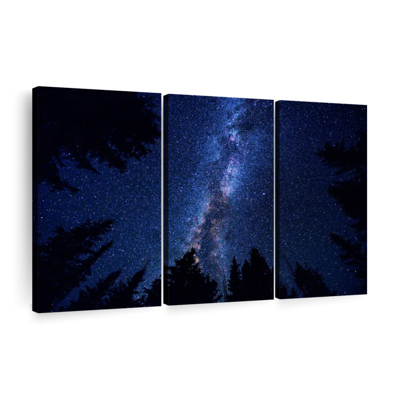 «Woodlands Milky Way», 3 pièces sur toile, H 42 po x l 65 po