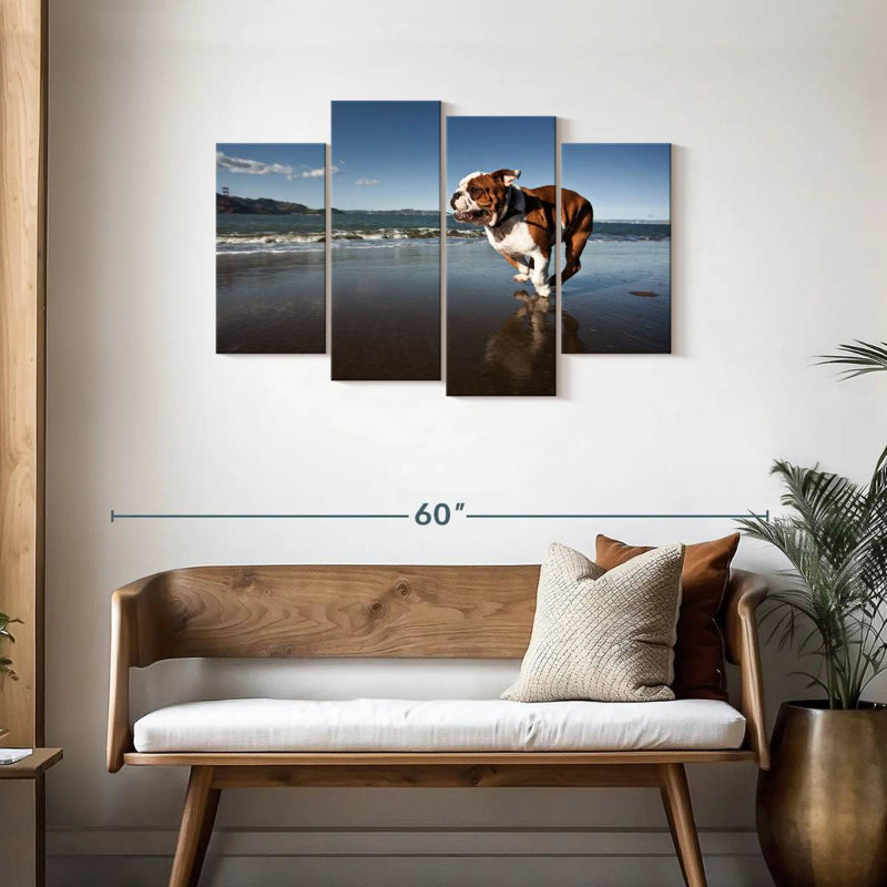 Brampt Dog Beach Run, 27" H x 43" W
