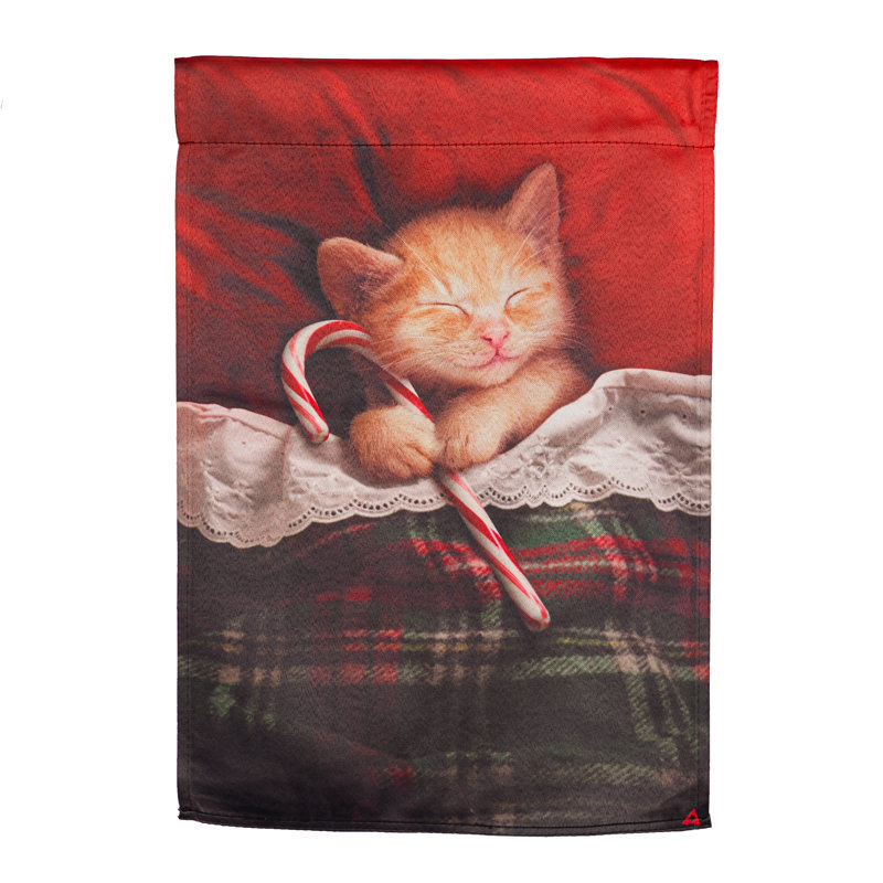 Drapeau de jardin en polyester 18 x 12,5 po Deione