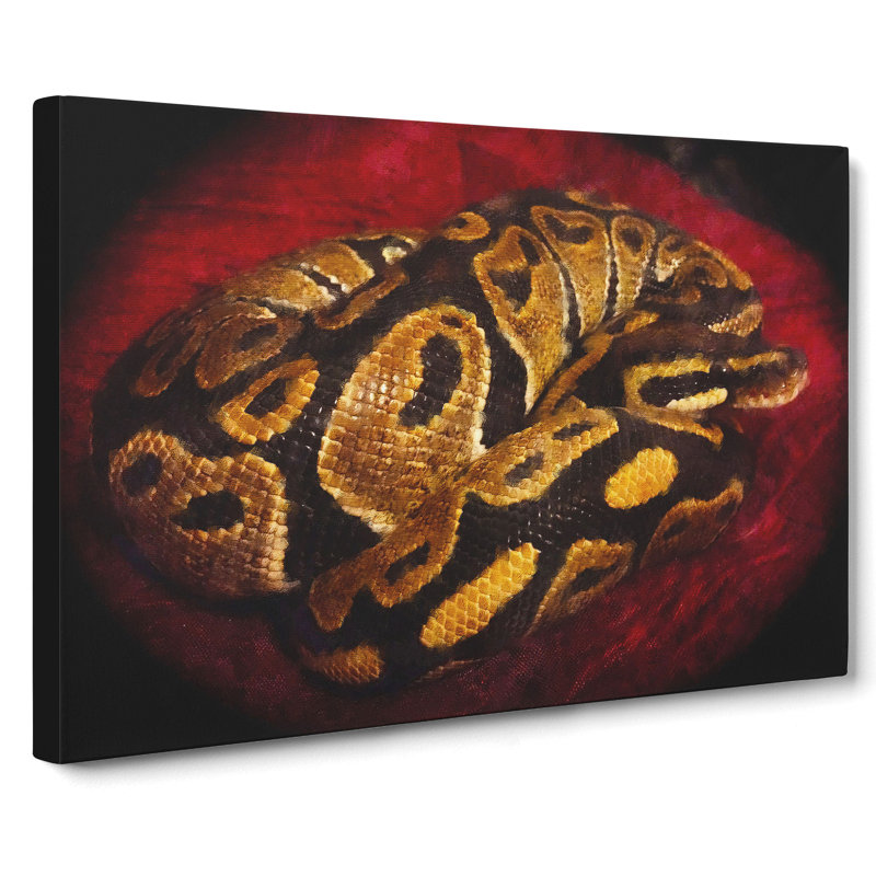 Python Snake - Wrapped Canvas Print, 40cm H x 60cm W x 3cm D