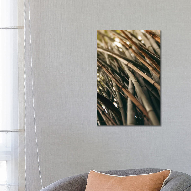 Bamboo Study L by Olivia Joy StClaire - Wrapped Canvas Print, 66.04 cm H x 45.72 cm W x 1.91 cm D