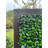 Cailey Foliage Wall Panel Privacy Screen