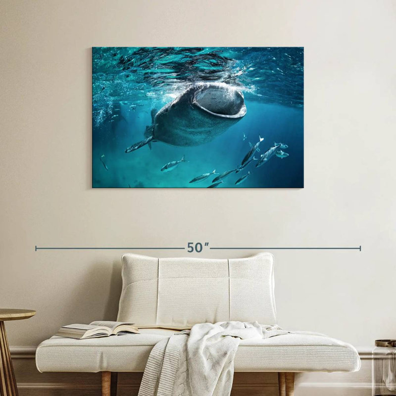 Brampt Gaping Whale Shark, 26" H x 39" W