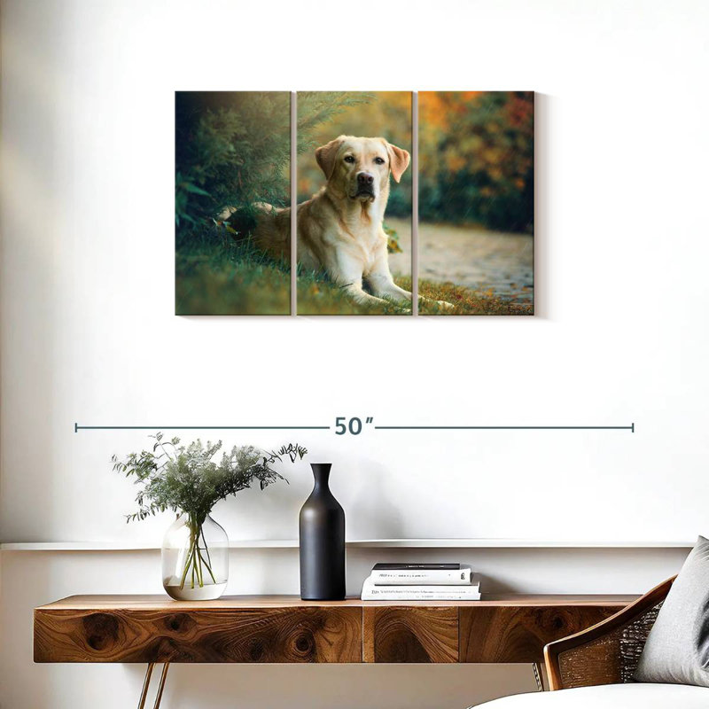 Brampt Labrador Retriever Mix, H 20 po x l 33 po